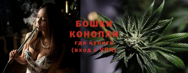 индика Сафоново