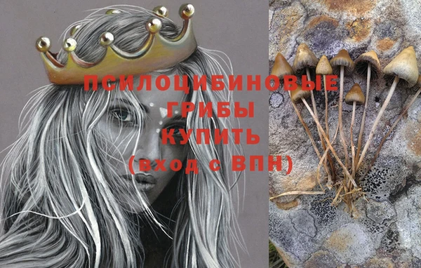 стафф Белоозёрский