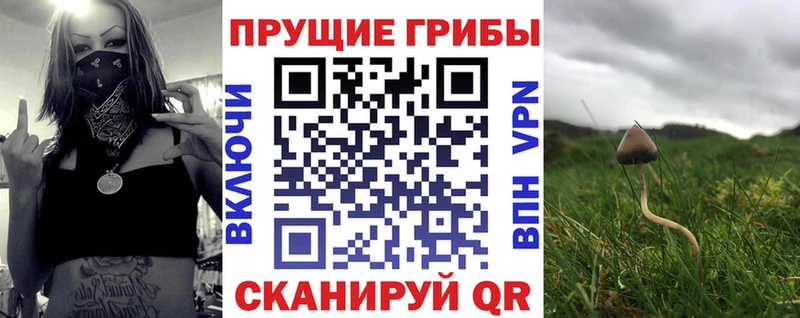 купить наркоту  Всеволожск  Псилоцибиновые грибы прущие грибы 